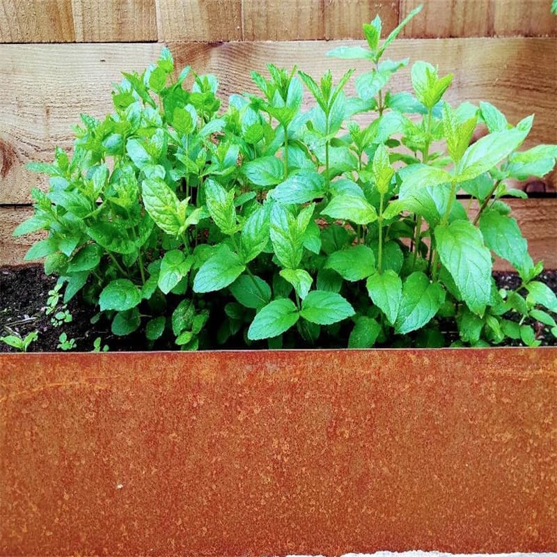 Modern Patio Edging Wholesale