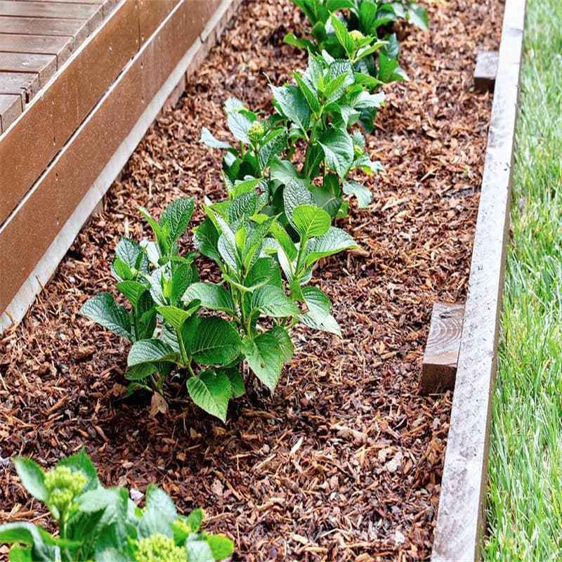 Nostalgia Garden Metal Edging Supplier